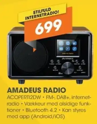Expert Amadeus Radio ACOPERTI2DW tilbud