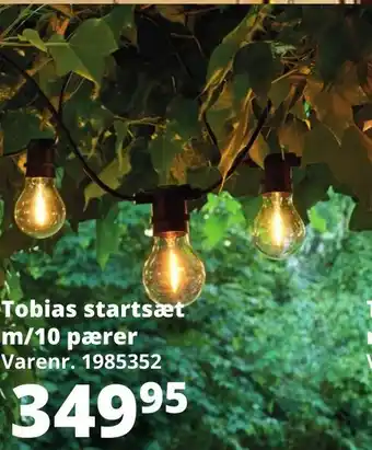 Tobias Startsæt