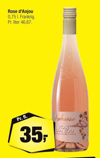 Calle Rose d'anjou tilbud