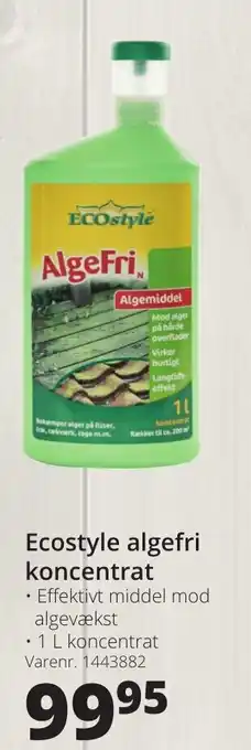 Ecostyle Algefri Koncentrat 1 L