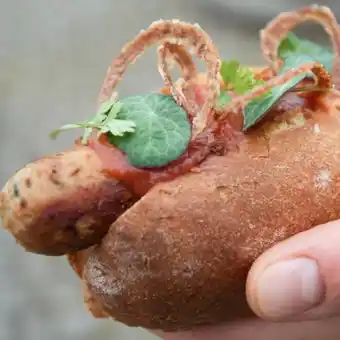 Hotdogkursus for børn og voksne hos karoline trier