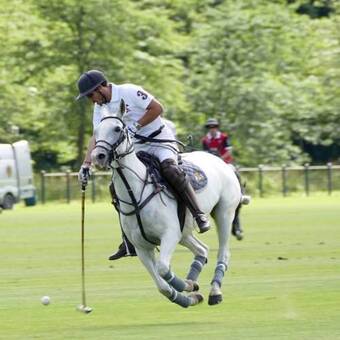 Polospiller for en dag hos copenhagen polo club