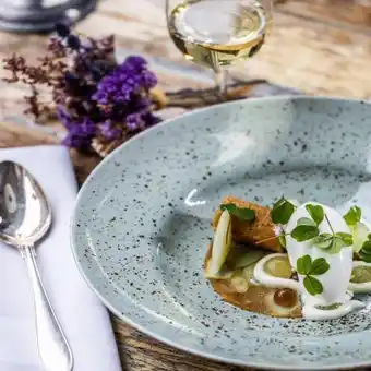 Truestory Gastronomisk ophold på langhoff & juul boutique hotel tilbud