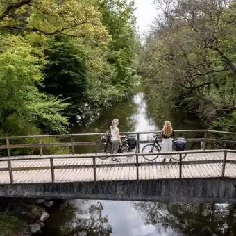 Guidet elcykeltur til klostermølle & sukkertoppen og gudenåen med holmely