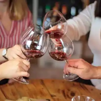 Vinsmagning hos s'vineriet odense