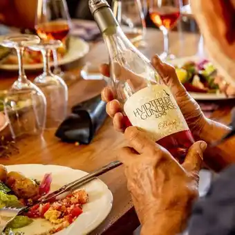 Rundvisning & vinsmagning og frokost på hideaway vingård i lolland