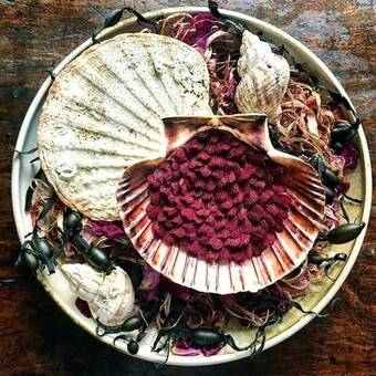 Truestory Wine & dine hos the pescatarian tilbud