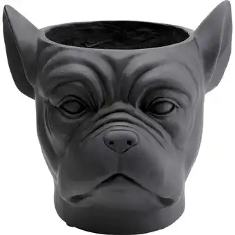 Bulldog planteskjuler
