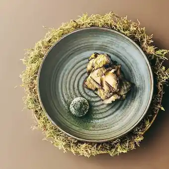 Vegansk gourmet hos restaurant ark