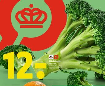Coop 365 Coop 365 broccoli tilbud