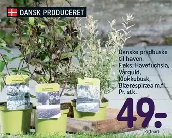 REMA 1000 Danske prydbuske til haven tilbud