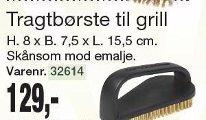 Harald Nyborg Tragtbørste til grill tilbud