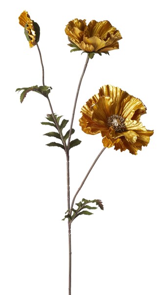 Ilva Poppy tilbud