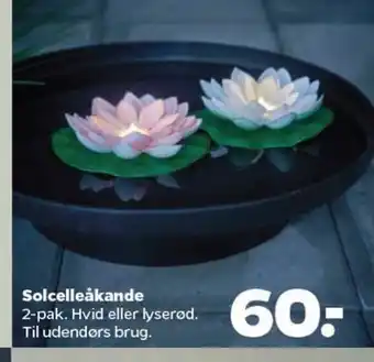 Netto Solcelleåkande tilbud
