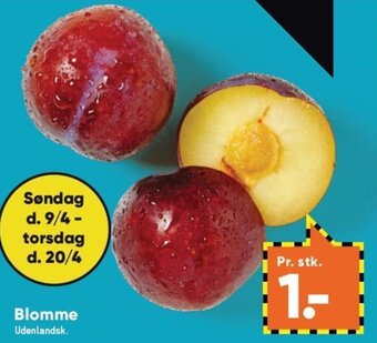 Blomme