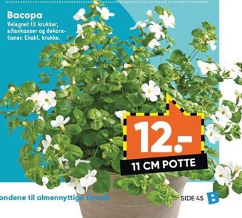 Bilka Bacopa tilbud