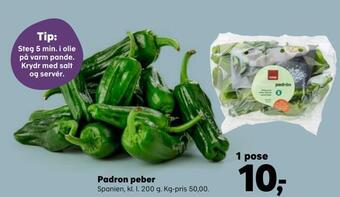 Padron peber