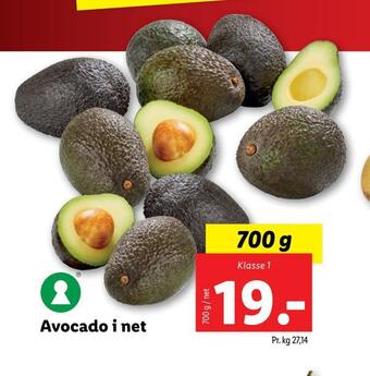 Lidl Avocado i net tilbud