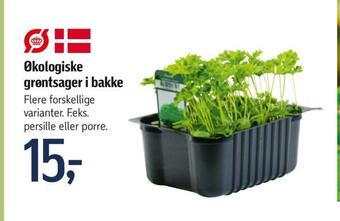 Økologiske grøntsager i bakke