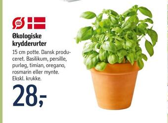 Føtex Økologiske krydderurter tilbud