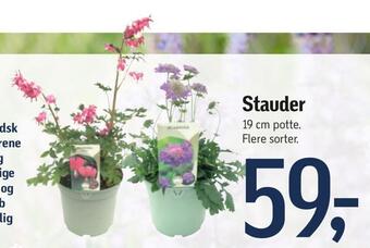 Føtex Stauder tilbud