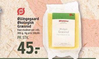 Øllingegaard økologisk græsrod