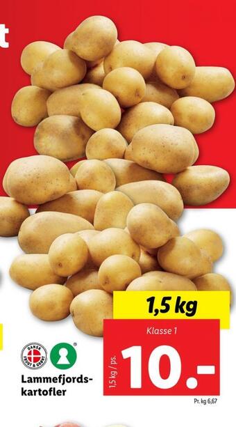 Lidl Ukendt kartofler tilbud