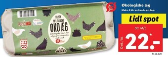Lidl Økologiske æg tilbud
