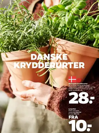 Netto Økologiske krydderurter eller lerpotter tilbud