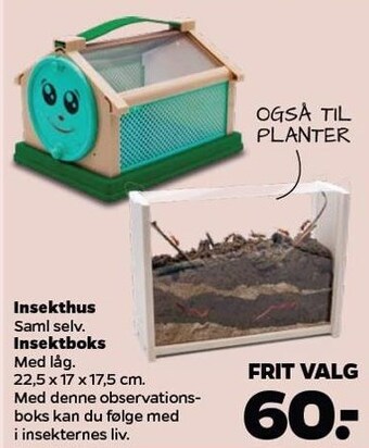 Insekthus eller insektboks