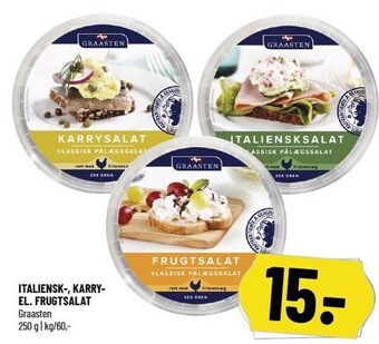 Løvbjerg Graasten italiensk-, karry- el. frugtsalat tilbud
