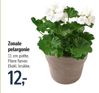 Føtex Ukendt planter tilbud