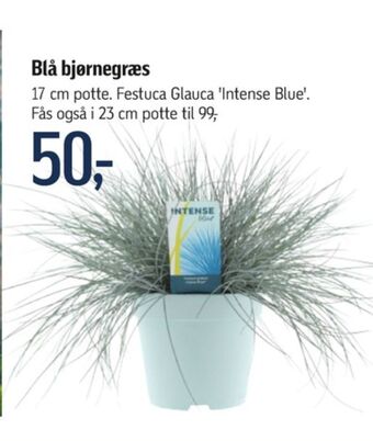 Ukendt planter