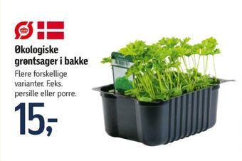 Føtex Ukendt planter tilbud