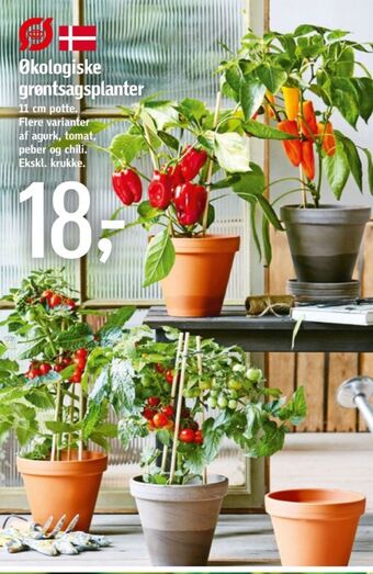 Føtex Ukendt planter tilbud