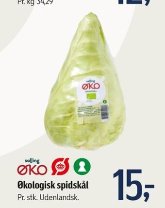 Føtex Salling øko spidskål tilbud