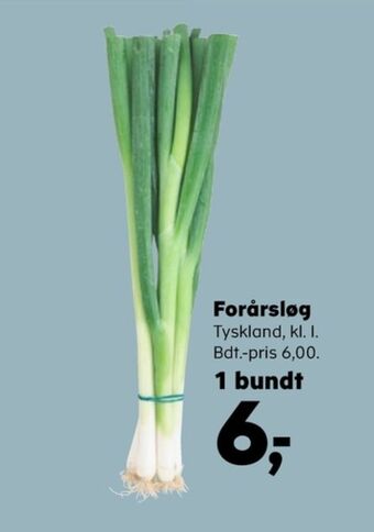 Kvickly Ukendt forårsløg tilbud