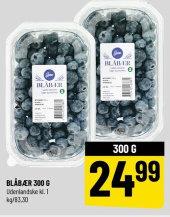 Løvbjerg Gestus blåbær tilbud