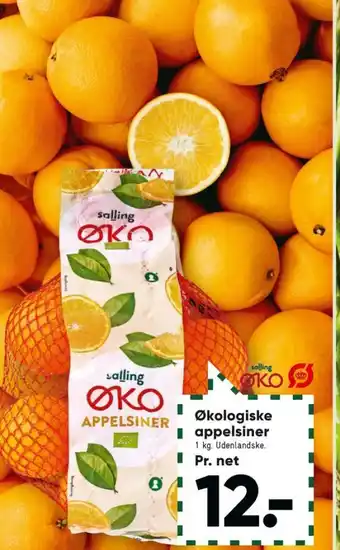 Bilka Salling øko appelsiner tilbud
