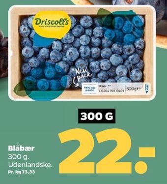 Netto Driscolls blåbær tilbud