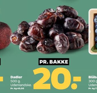 Netto Ukendt dadler tilbud