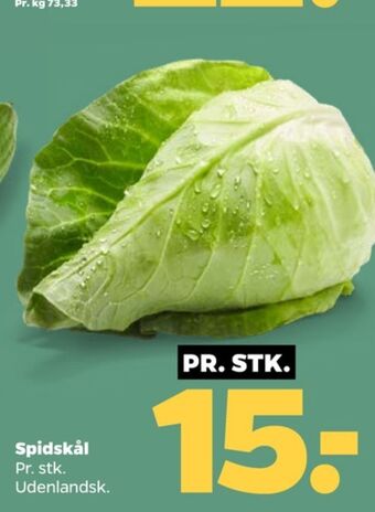 Netto Ukendt spidskål tilbud