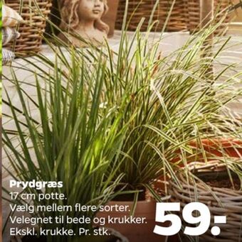 Netto Ukendt planter tilbud
