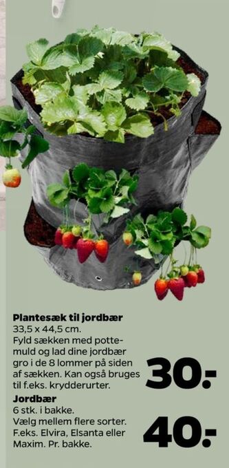 Netto Ukendt plantesæk tilbud