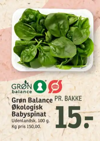 Grøn balance spinat-blade
