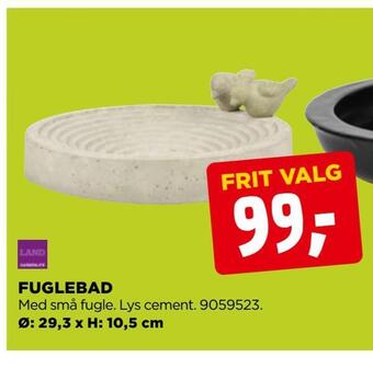Fuglebad