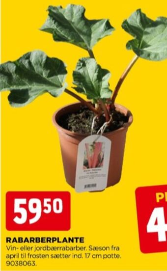 jem & fix Ukendt planter tilbud