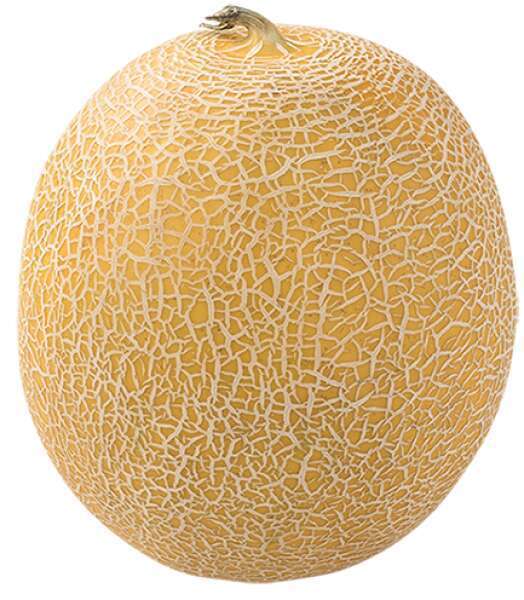 Galia melon, 1 ct tilbud hos Rema 1000