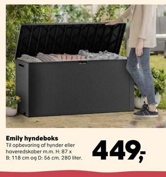 Emily Hyndeboks
