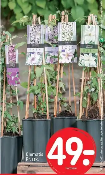 REMA 1000 Clematis tilbud